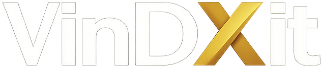 VinDXit Logo